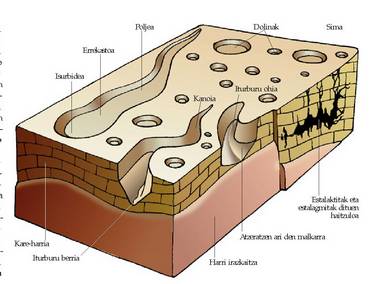 Kare-harrizko erliebearen osagaien diagrama. Kare-harrizko geruza lodiak lurpe buztintsu baten gainean daude.<br><br>Epaiak sakoneko geruzetan urak egiten dituen joan-etorriak adierazten ditu. Lur gainean dolina zuloak ikusten dira han eta hemen. Polje bateko ura isurbide batean galtzen da eta geroago kanoiaren hondotik kanpora ateratzen da berriro. Higaduraren ondorioz, haitz bigunei erasotzen baitie, isurialdeak atzeratzen hasi dira.<br><br>